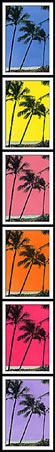 Multiple Palm Colors